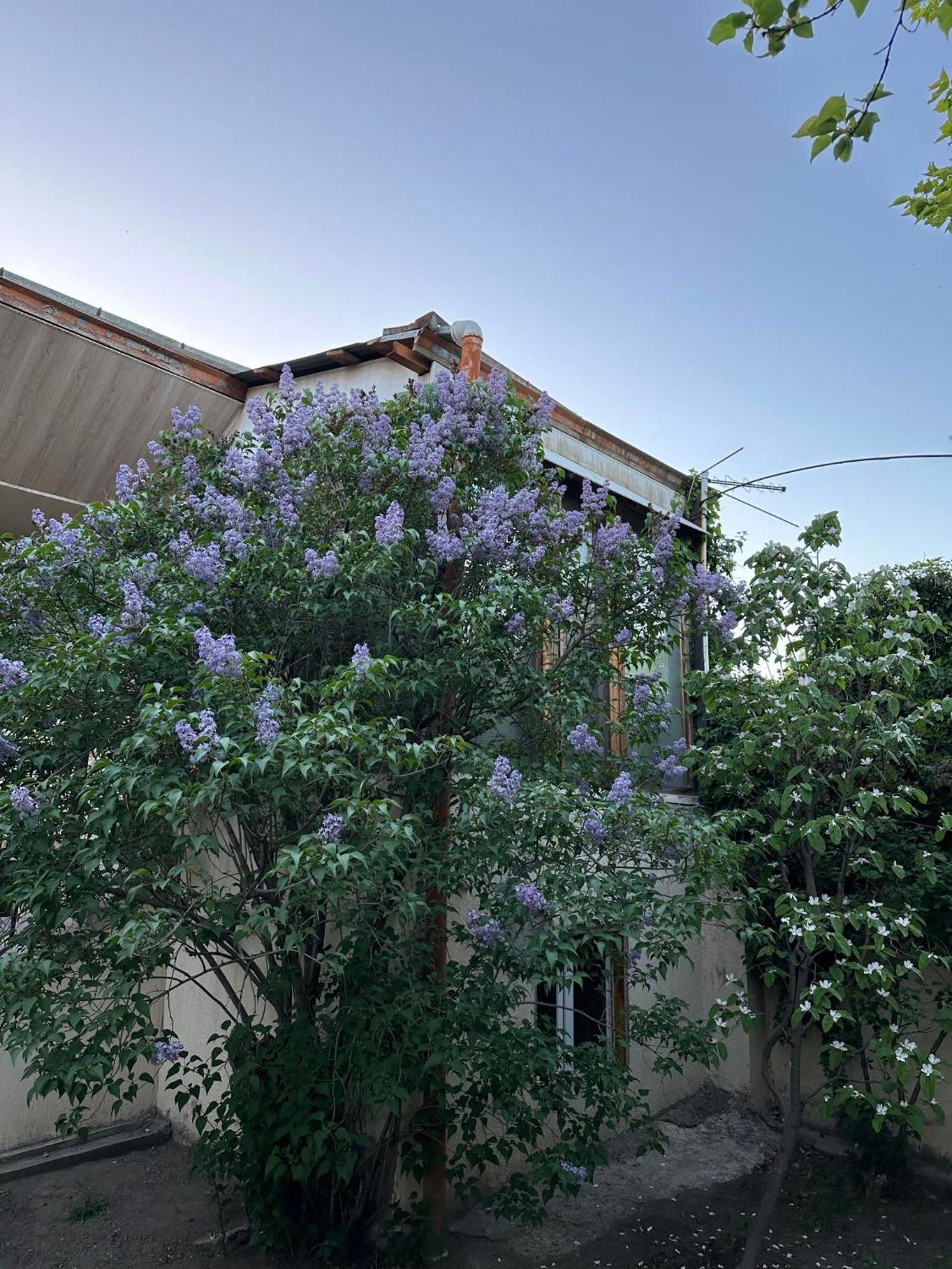Popock City Center Γιερεβάν Εξωτερικό φωτογραφία