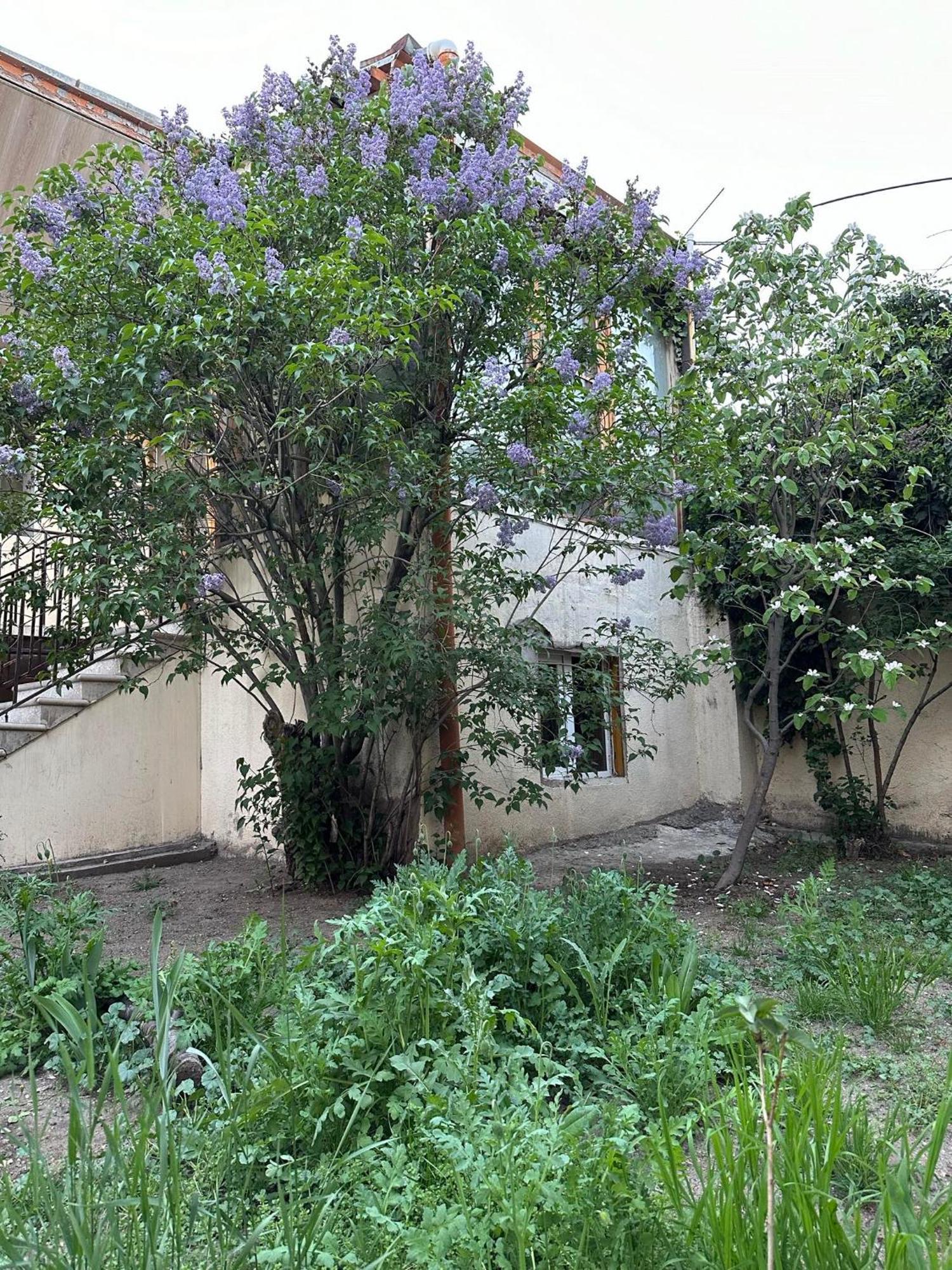 Popock City Center Γιερεβάν Εξωτερικό φωτογραφία