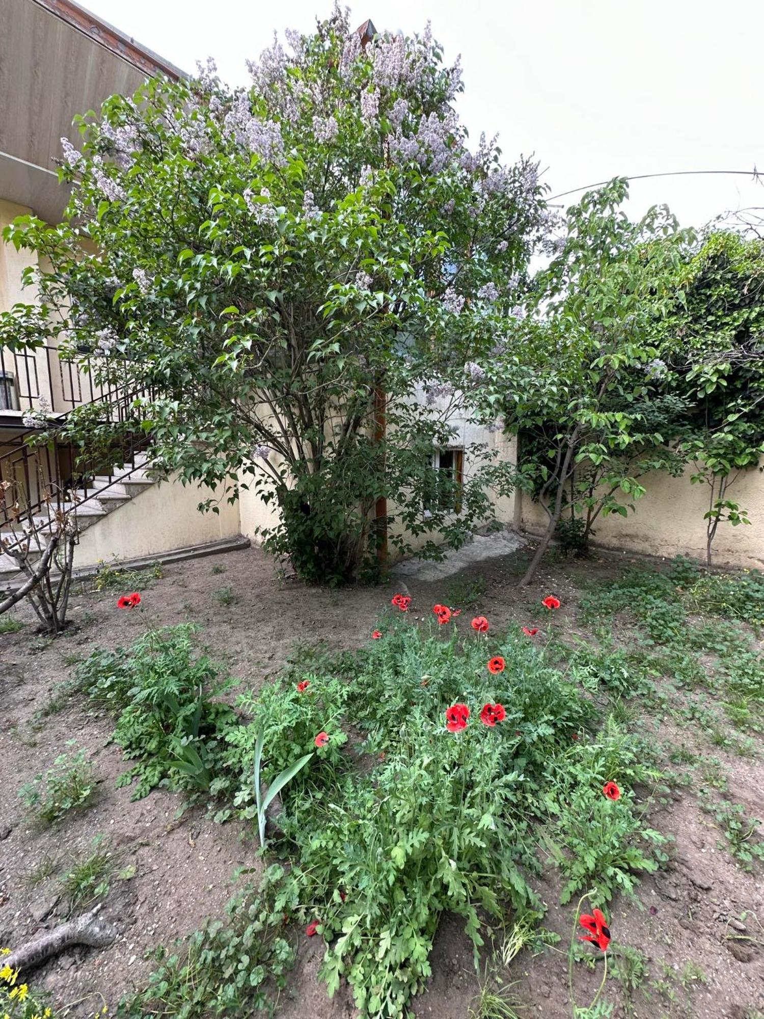 Popock City Center Γιερεβάν Εξωτερικό φωτογραφία