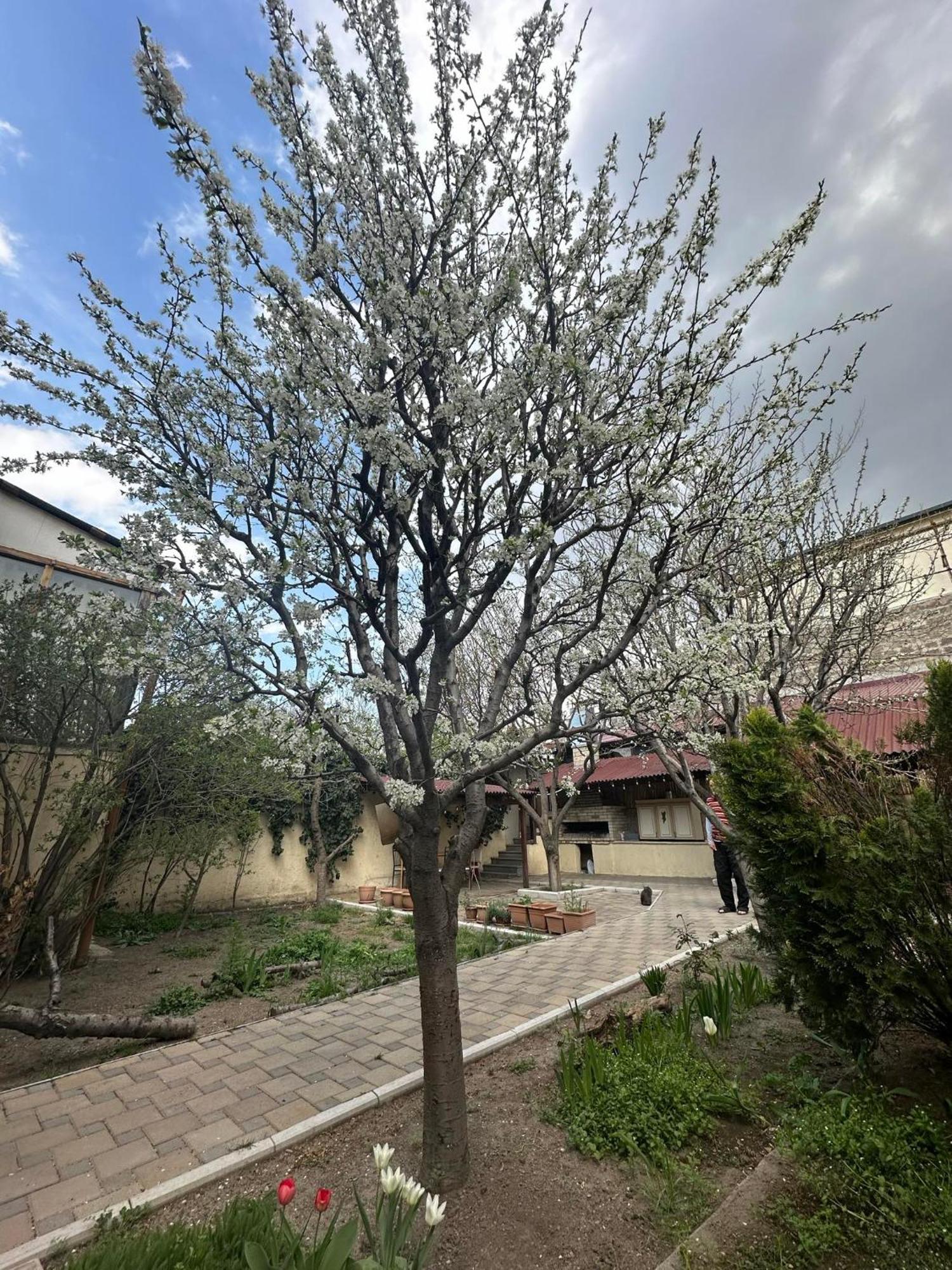 Popock City Center Γιερεβάν Εξωτερικό φωτογραφία